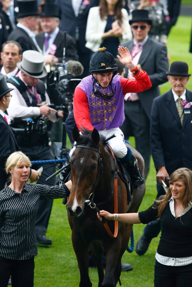 a jockey in a purple jacket is riding a horse