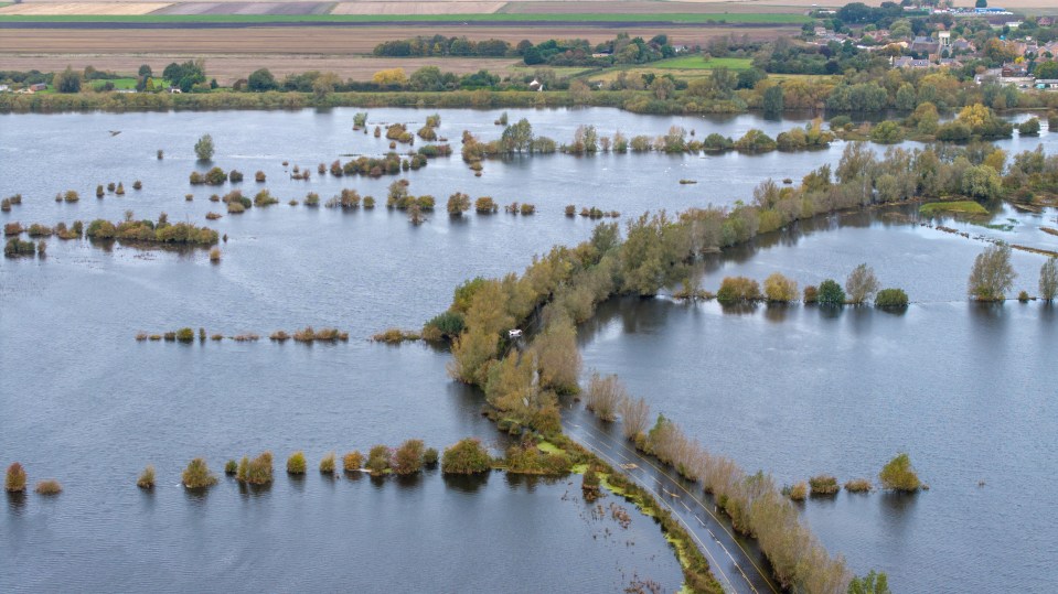 Pictured: Scenes of flooding near the A1101 in Welney last week