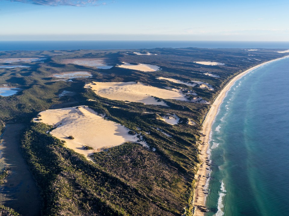 an aerial view of a beach with sand dunes and trees