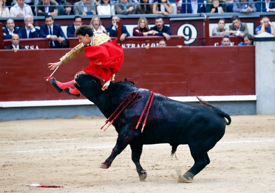 The horror moment Andrés Roca Rey was gored by a raging bull