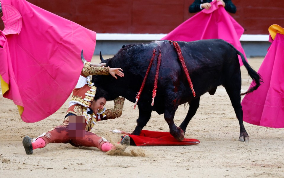 As the bull launched a second wave of attack it speared the matador's uniform