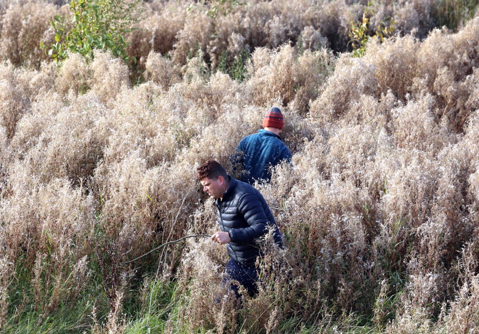 Search teams near the riverbank