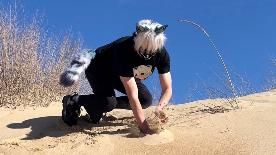 A quadrober wearing a cat costume and crawling on all fours