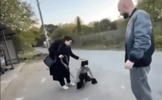 The woman holding the leash can be seen petting the person as if it were a real cat