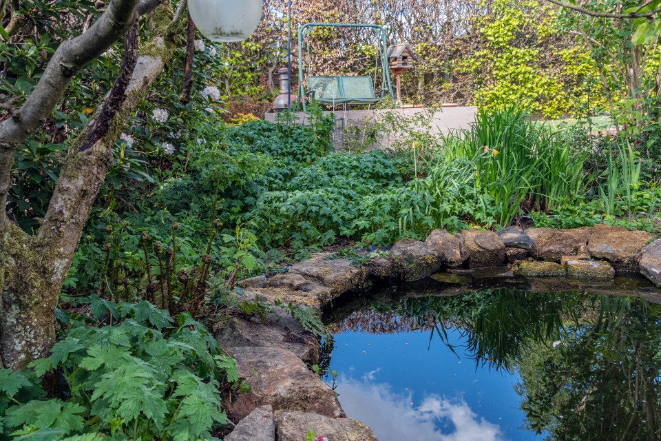 a pond in a garden with a swing in the background