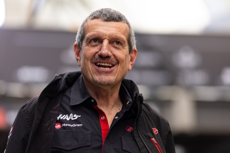 Former Haas F1 boss Gunether Steiner has lifted the lid on a stunning side hustle