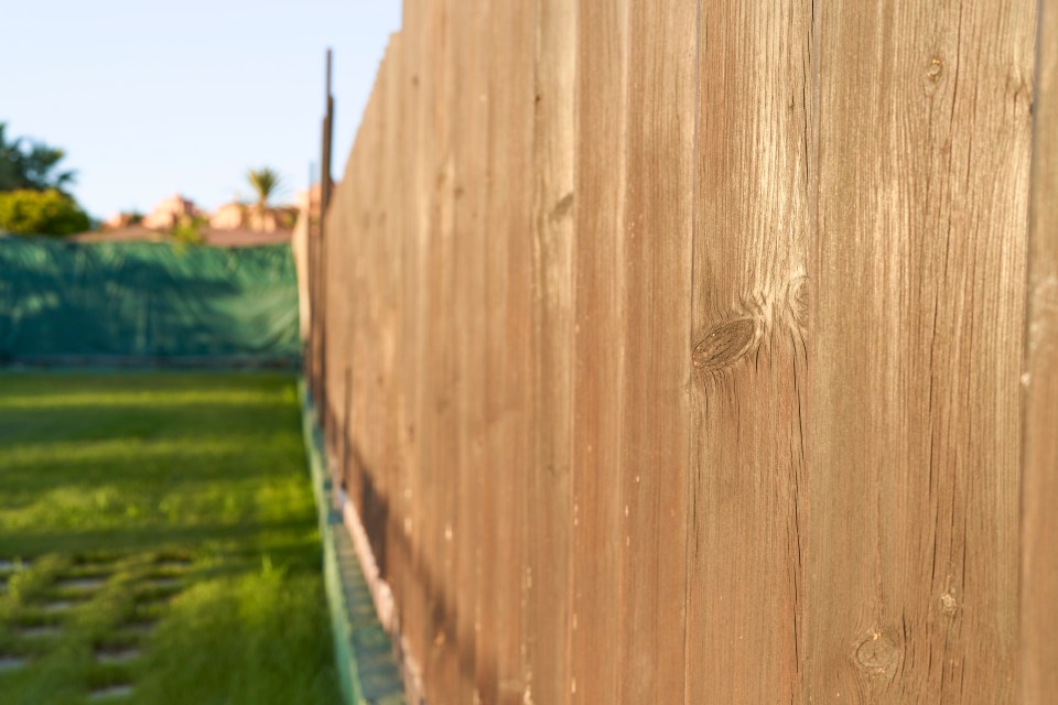 Rather than splashing the cash on a posh privacy fence, a gardening guru has revealed the cheap plant that will ensure your space feels protected