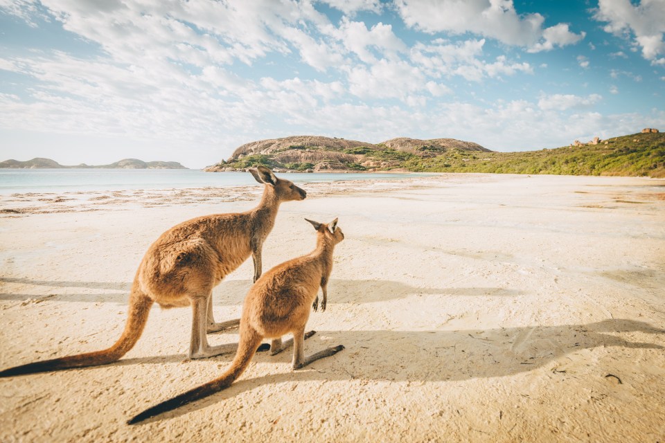 The Australian Outback is a huge part of the biggest island on planet Earth