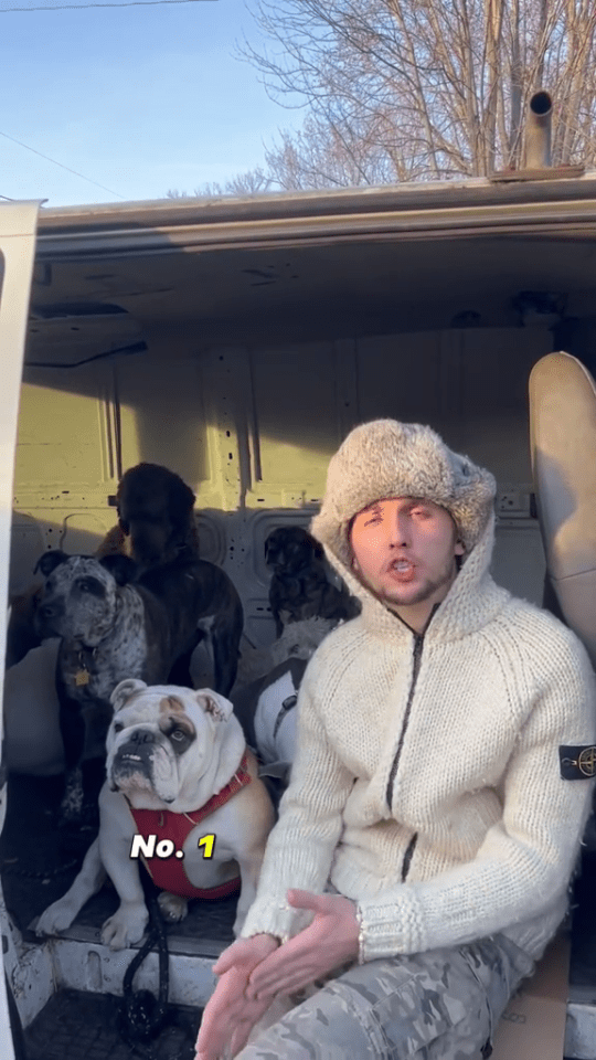 a man is sitting in the back of a van with dogs and says no. 1