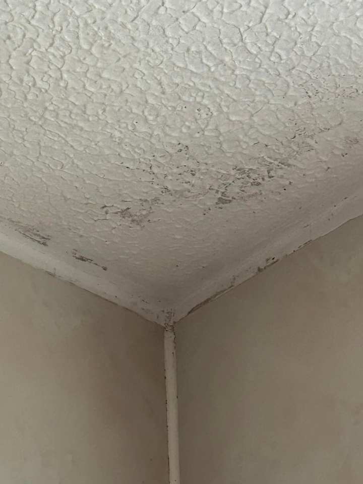 If your bathroom is covered in stubborn mould, fear not, you've come to the right place