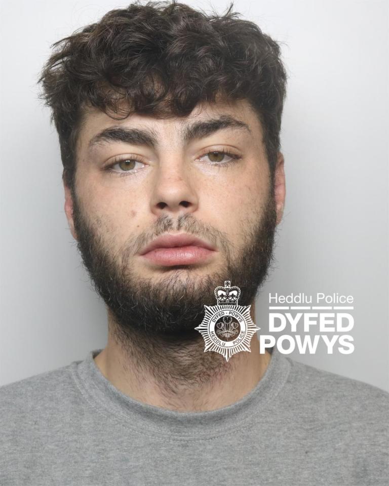 Joshua Lea has been jailed for attacking a convicted sex offender