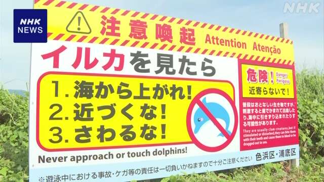 Beachgoers have been warned of the sex pests with signs being put up across Japanese tourist hotspots