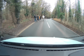 The footage shows a large family using the road in Norfolk