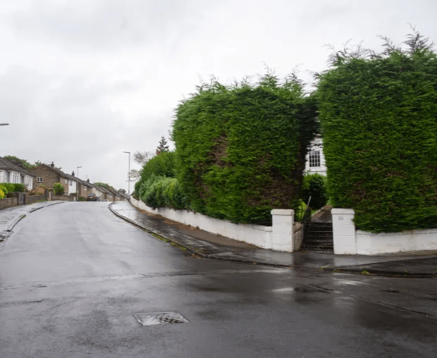 Welsh went to Glasgow City Council under high hedge laws