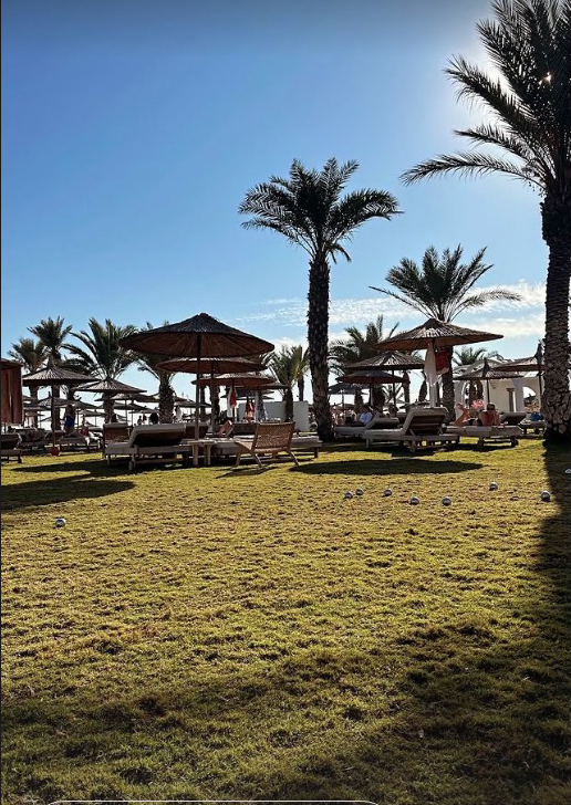 Ryan captured an array of sun loungers surrounded by palm trees