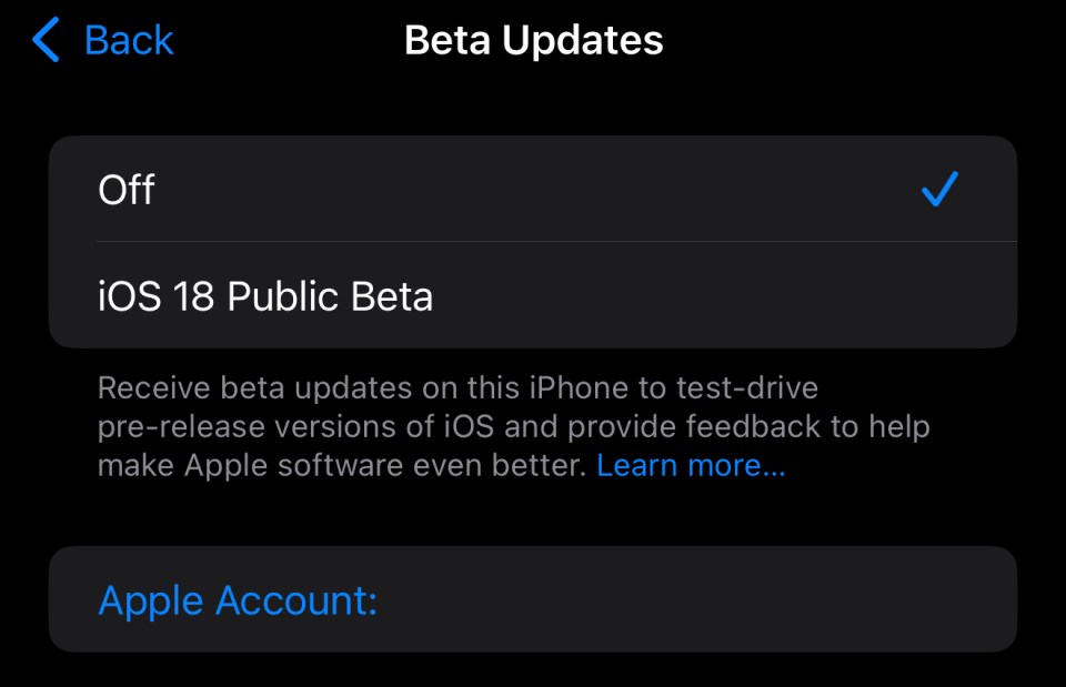 You can choose the Public Beta that you'd like to join in your iPhone's Settings app