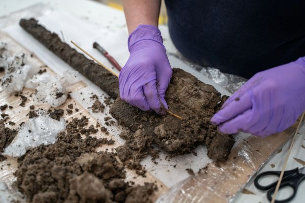 A Bronze Age wooden spade has been found in Poole Harbour