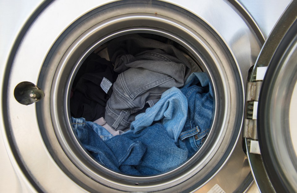 An appliance pro has revealed the natural kitchen ingredient that will banish tough limescale and mould from your washing machine