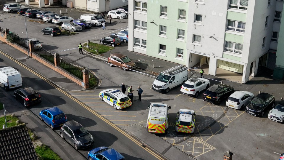 A newborn baby is fighting for its life after their mum plunged to her death from a 17-storey tower block