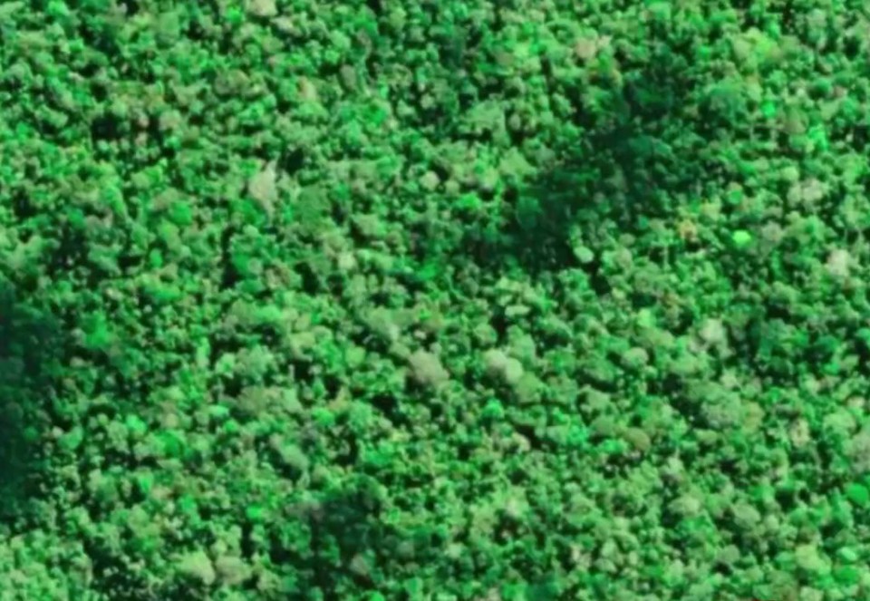 a close up of a pile of green rocks .