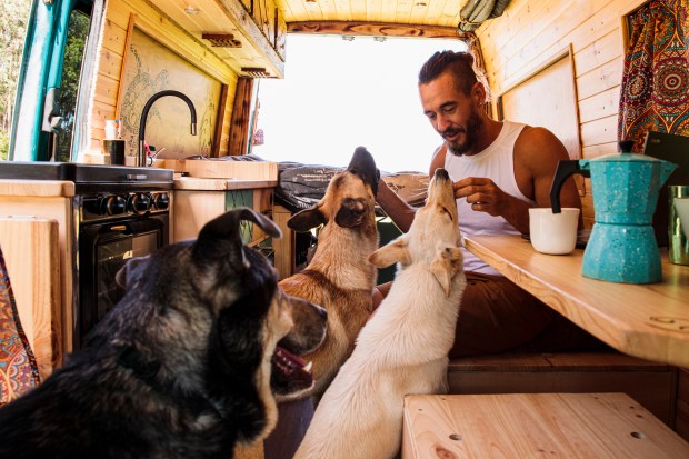 a man in a white tank top sits at a table with three dogs