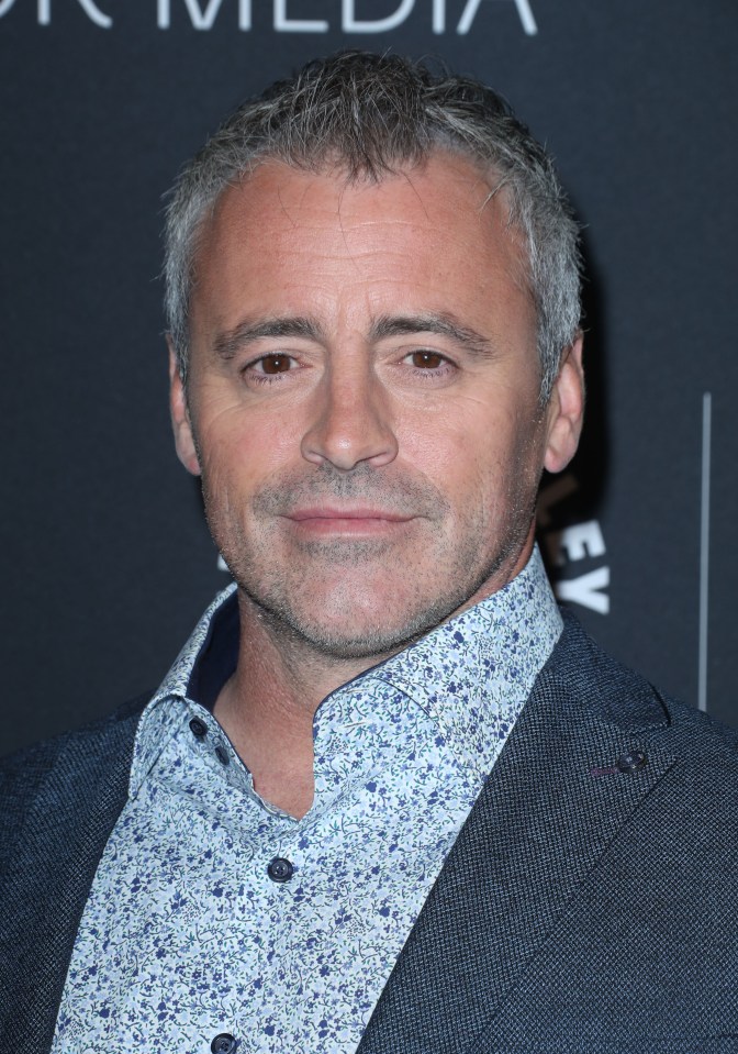 Matt LeBlanc didn't want to do another sitcom after Friends