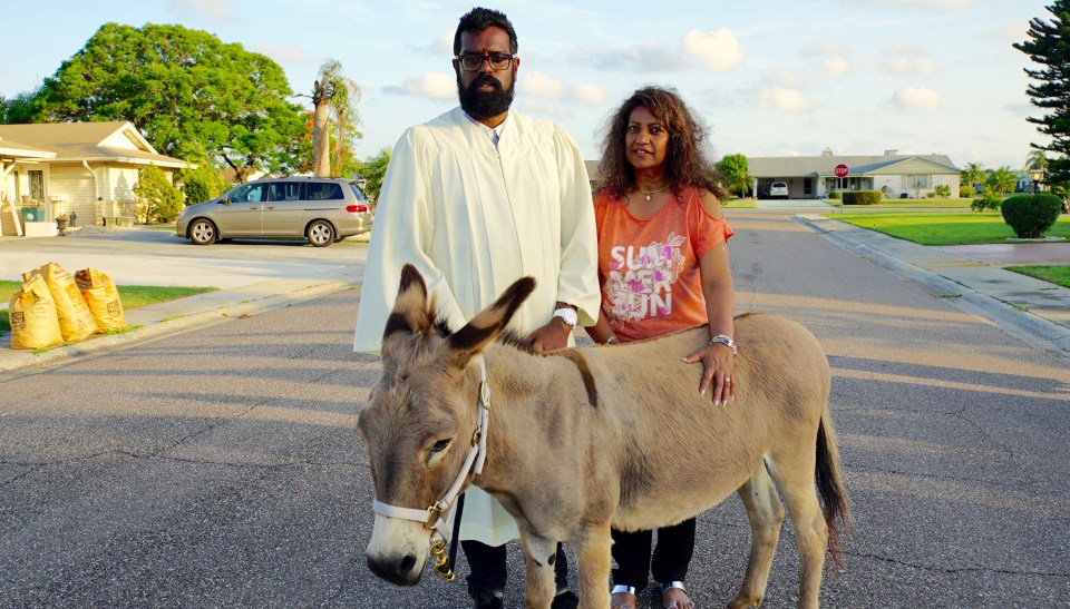 a man and a woman standing next to a donkey wearing a shirt that says slow down