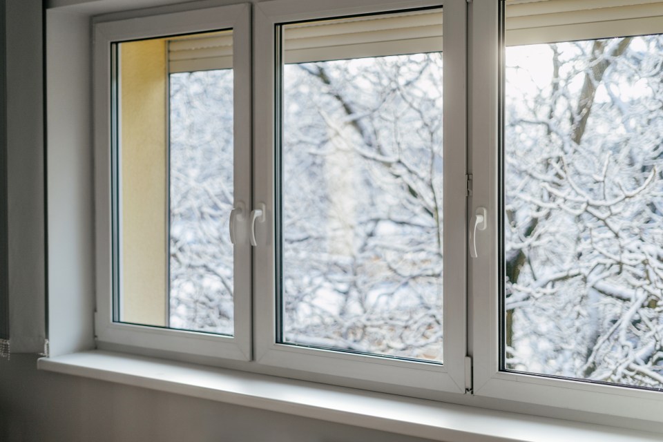 a window with a view of snowy trees outside