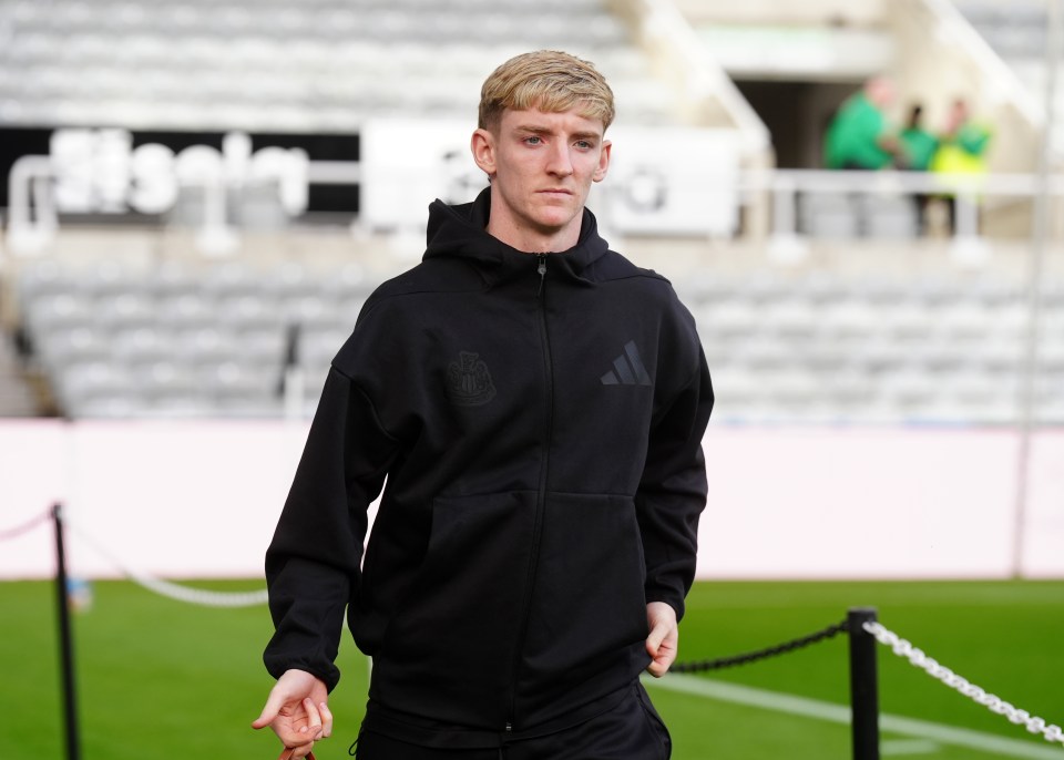 Anthony Gordon was in action for Newcastle against Brighton