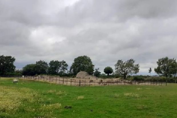 a fenced in field with sheep in it on a cloudy day .