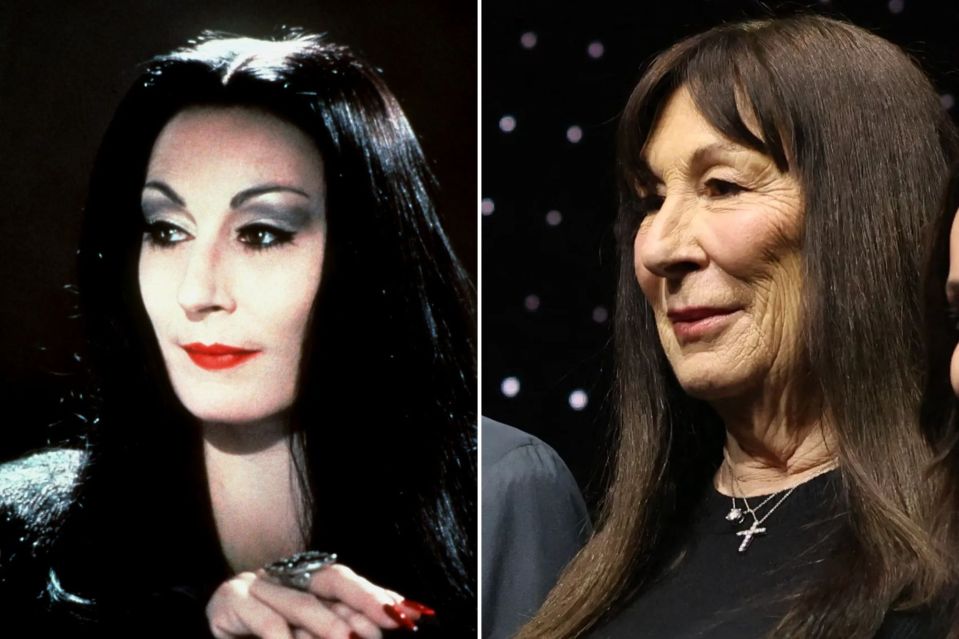 Anjelica Huston starred as Morticia