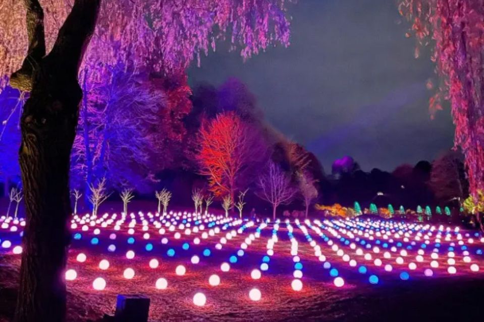 Leeds Castle has one of the best light shows in the country