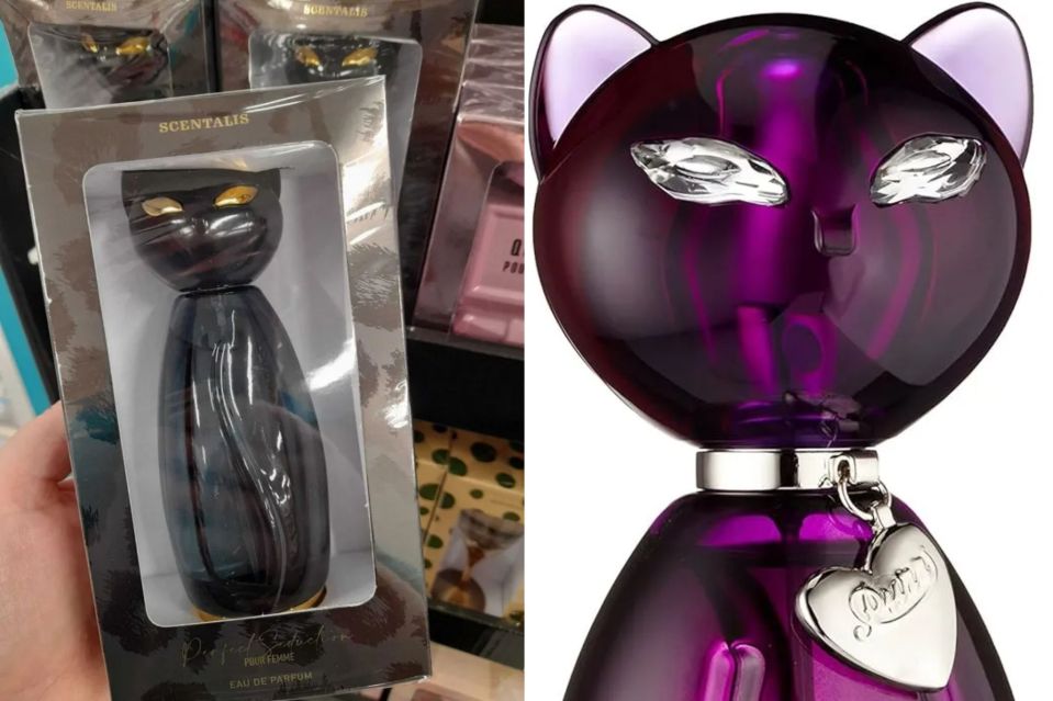 Perfect Seduction is a dupe for Katy Perry's Purr and is available at Poundland