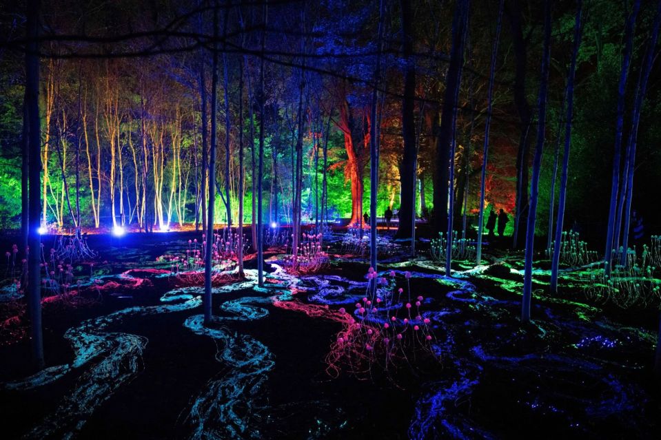 Dunham Massey is transformed into an ethereal fairytale forest