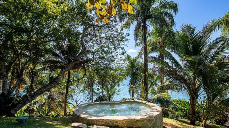 a hot tub surrounded by palm trees overlooking the ocean