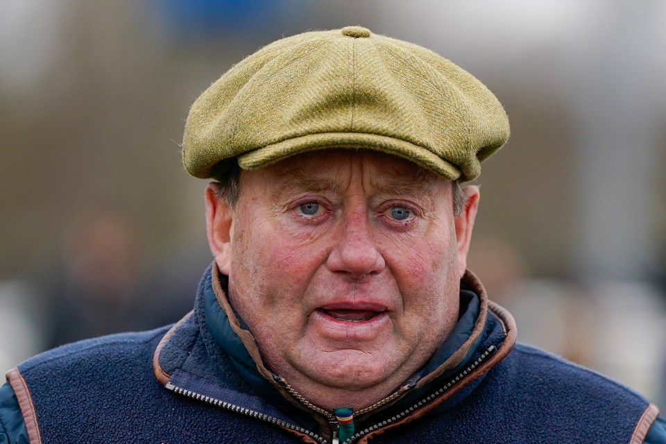 a man wearing a green hat and a blue vest