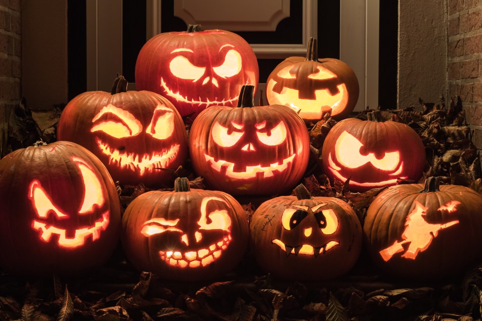 The mum-of-two explained that carving pumpkins was too expensive and too messy (stock image)