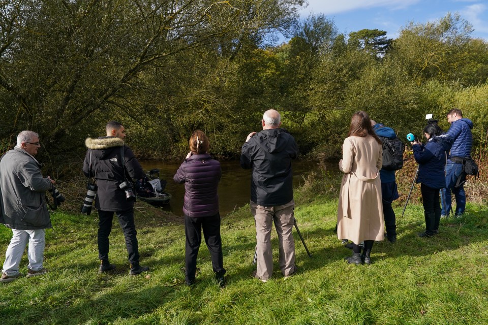 a group of people are standing in the grass near a river