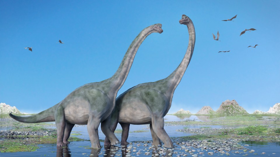 Two famous Sauropods include Little Foot from The Land Before Time (Apatosaurus) and the Brachiosaurus, made famous by the iconic 90s film Jurassic Park