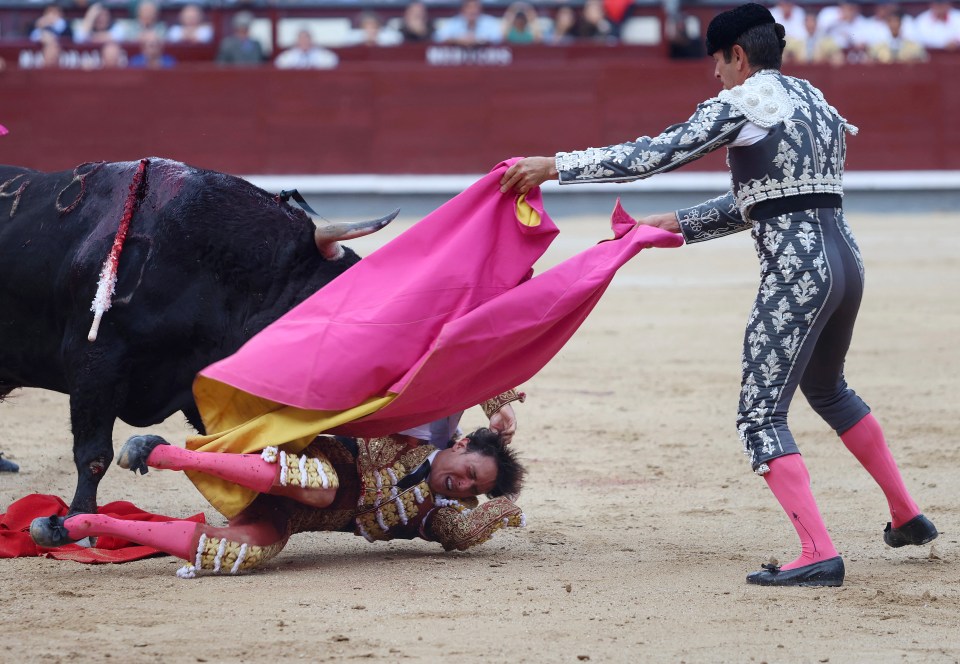 Bystanders rushed to save Roca Rey by trying to distract the angry animal using coloured sheets