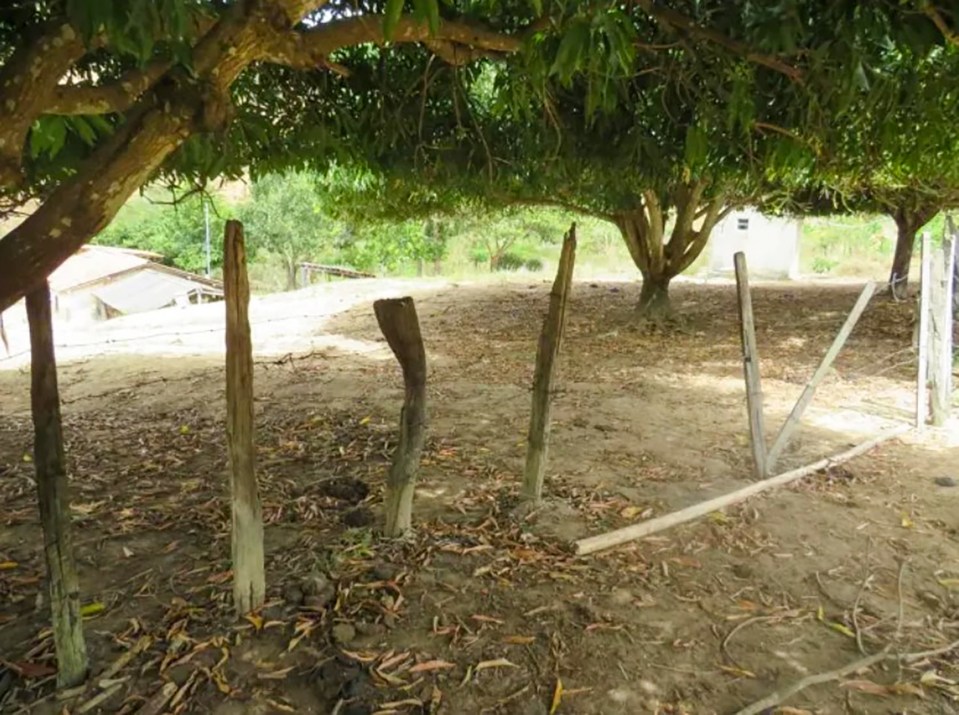 The family were kept on an isolated property in Brazil