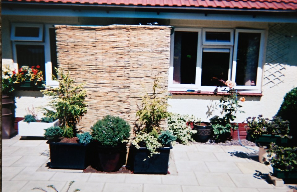 a house with a few potted plants in front of it