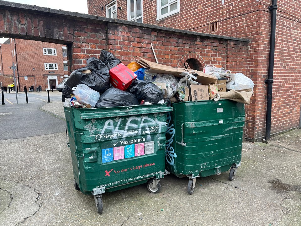 Councils should just empty the bloody bins on time, mend the potholes – and shut up, instead of offering advice