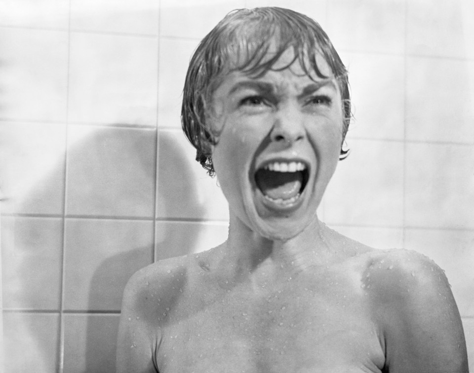 Marion Crane (played by Janet Leigh) screaming before she's stabbed by Norman Bates