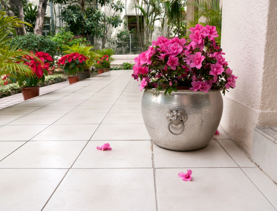 a silver pot filled with pink flowers sits on a tiled floor