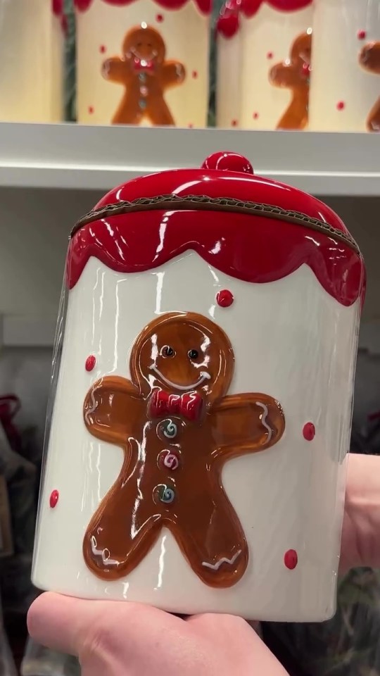 The large cookie jar is perfect for storing all those festive treats