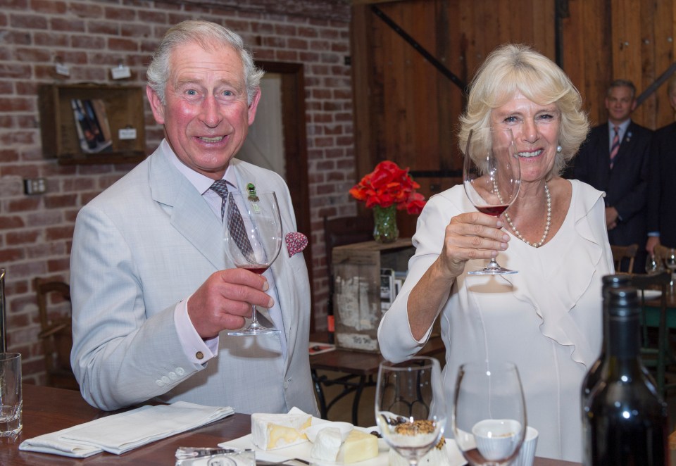 a man and a woman are toasting with wine glasses