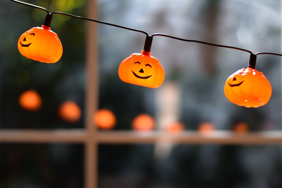 a string of orange pumpkins with faces on them