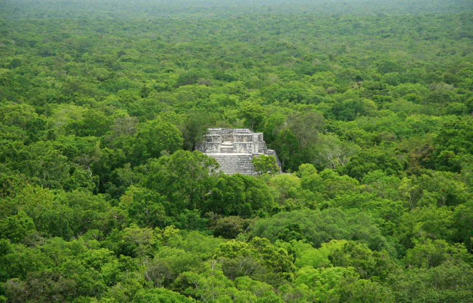 The ancient Mayan site of Calakmul, Mexico, has also been covered up by the jungle