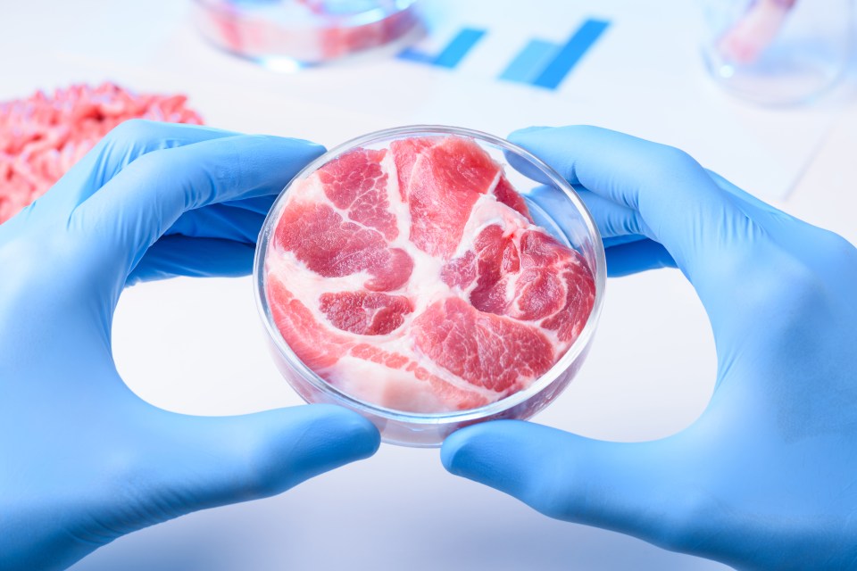 Lab-grown meat could be on our plates in just two years under government regulation plans